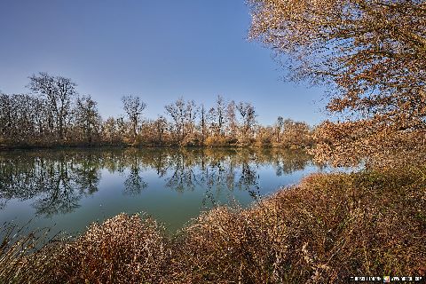 Gemeinde Kirchdorf Landkreis Rottal-Inn Waldsee Lago Herbst (Dirschl Johann) Deutschland PAN